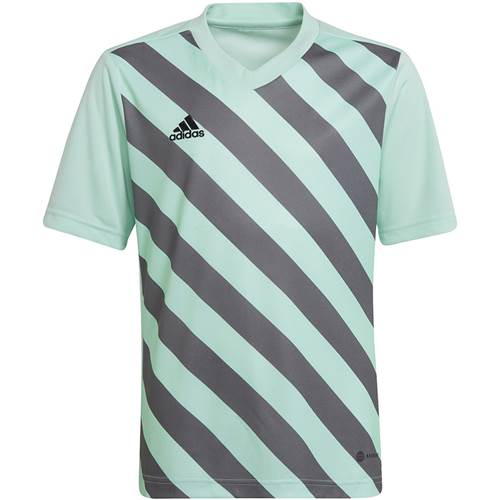 Koszulka Adidas Entrada 22 Graphic Jersey