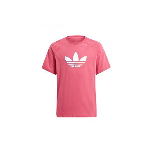 Koszulka Adidas Adicolor Graphic Tee