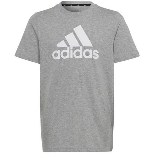 Koszulka Adidas Big Logo Tee JR