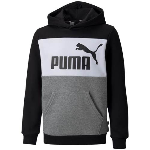 Bluza Puma Ess Block Hoodie FL B JR